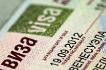 Визуализация данных по визам, выданным РЗУ в 2006-2015 гг. Визуализация данных по визам, выданным РЗУ в 2006-2015 гг.